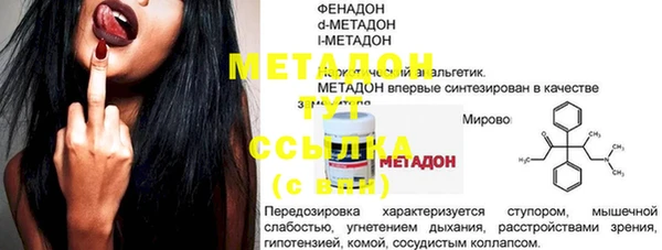 шишки Болотное