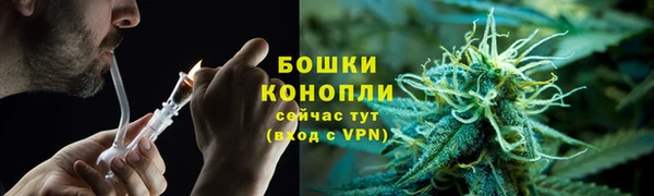 дмт Михайловск