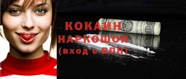 ГАЛЛЮЦИНОГЕННЫЕ ГРИБЫ Михайлов