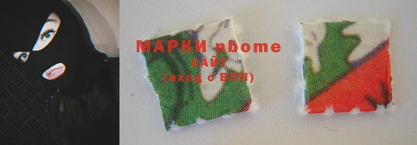 шишки Болотное