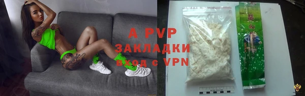 ГАЛЛЮЦИНОГЕННЫЕ ГРИБЫ Михайлов