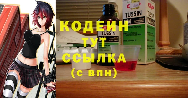 ГАЛЛЮЦИНОГЕННЫЕ ГРИБЫ Михайлов
